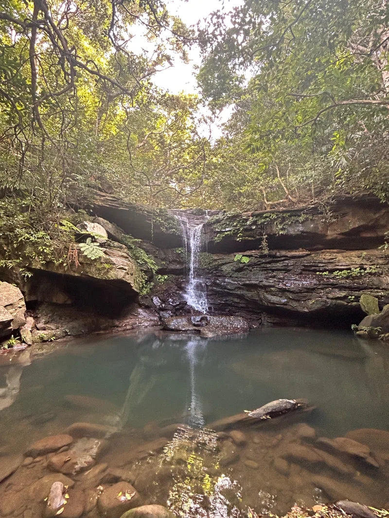 幸せに気づける自分でいれるようにしたい。new moon note　April 2024