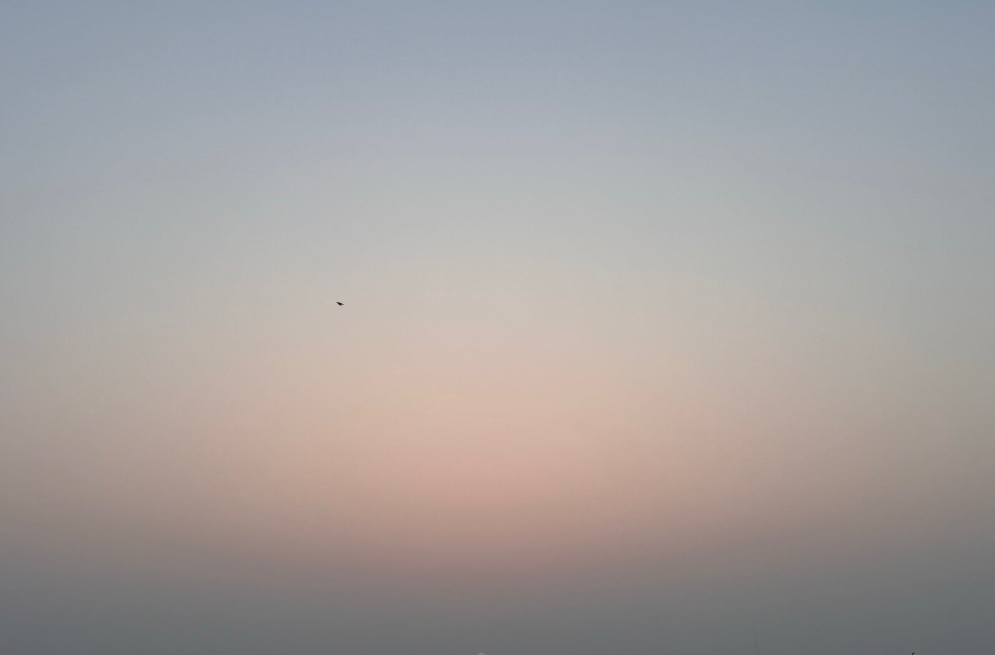 Juice Nature Experience Trip new moon note February 2025.