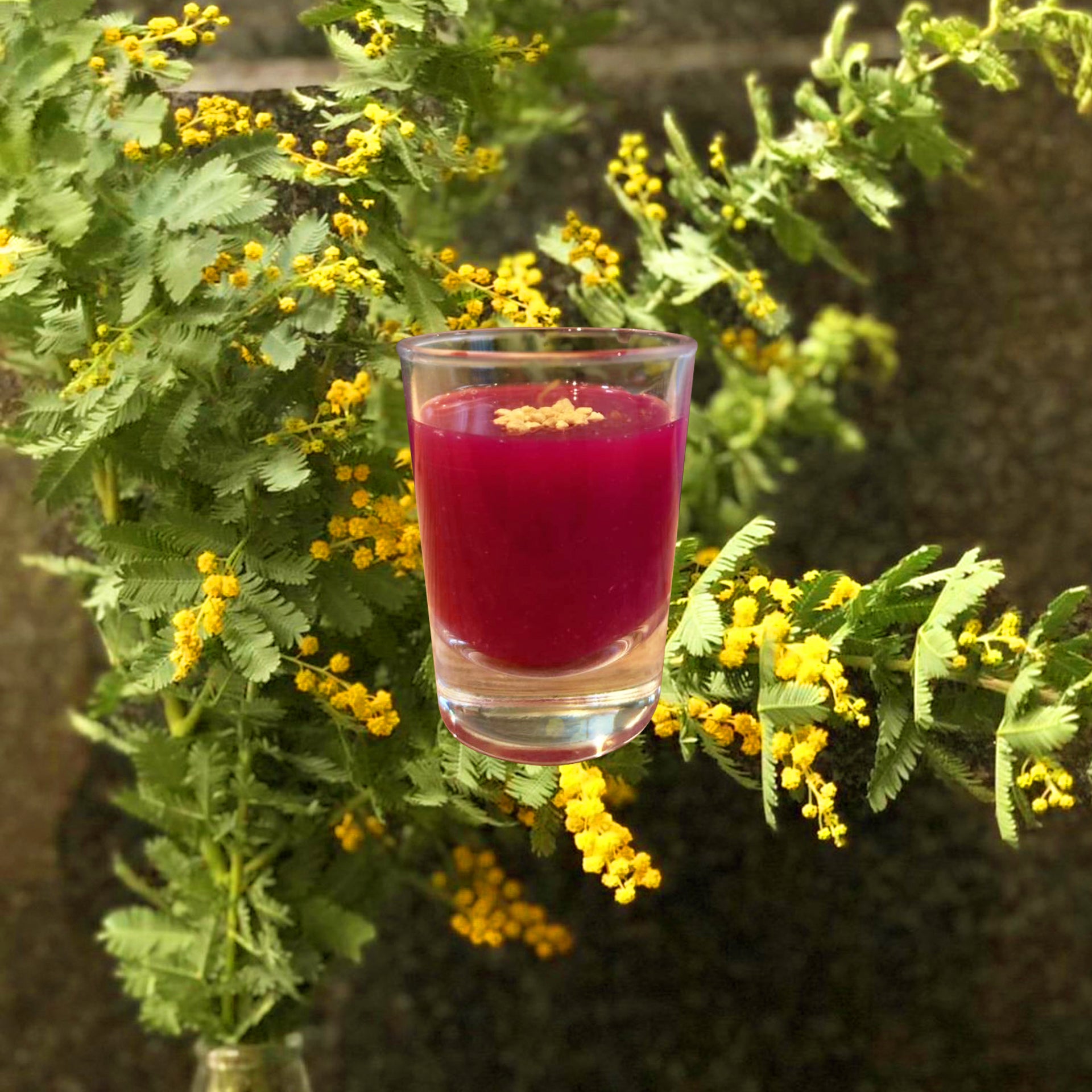 3月8日(水)は、国際女性デー。当日ご来店の女性のお客様に「Thank you shot for women」をプレゼント！