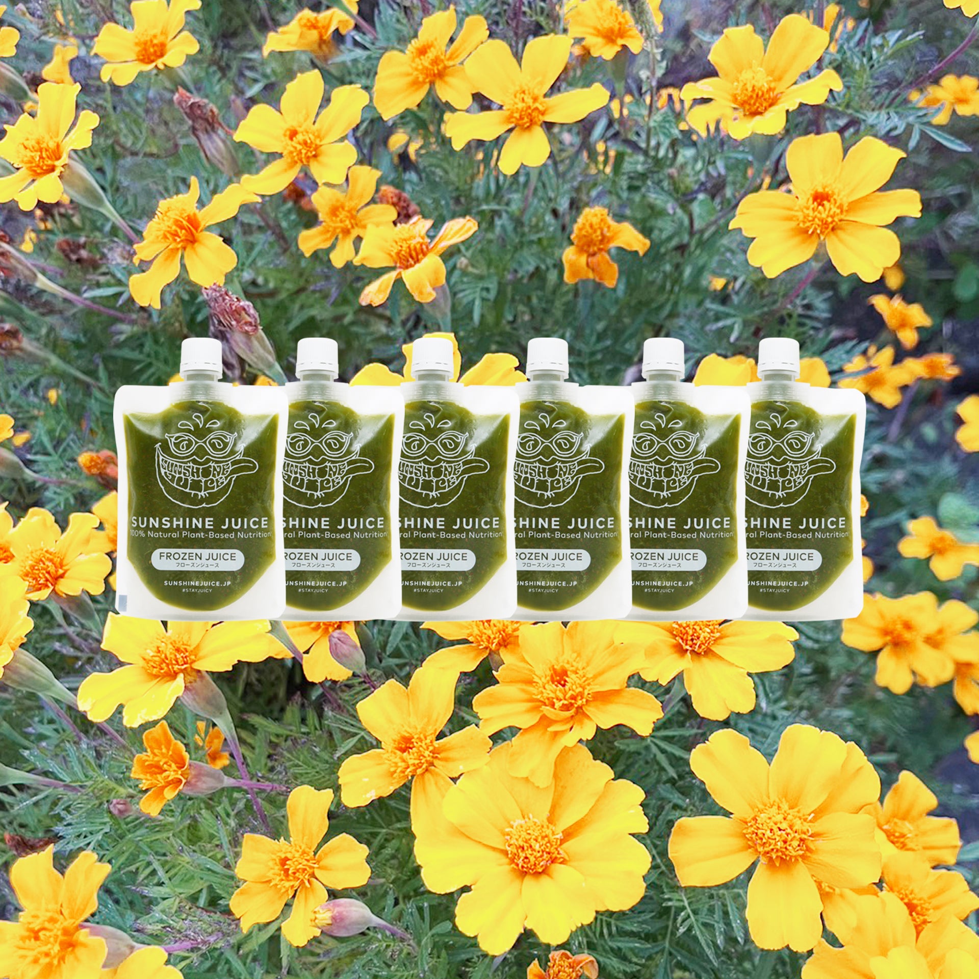 季節のスペシャルジュース「セロリジュース」ができました！！