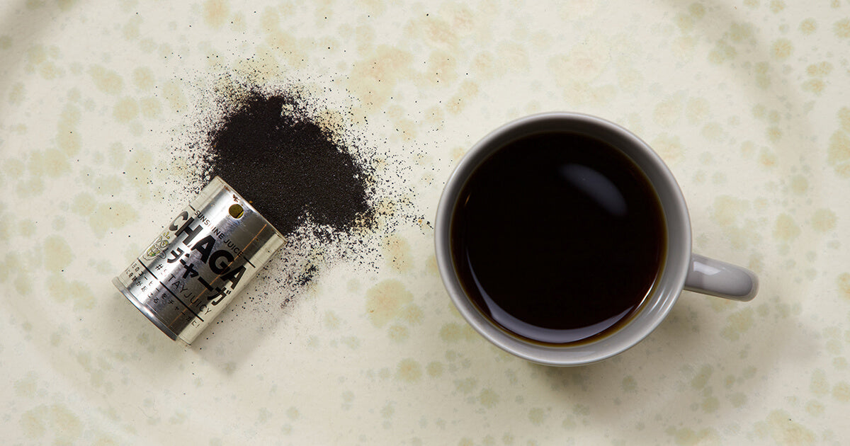 What is Chaga? What is the effect? Natural Mushrooms for Antioxidant and Immunity