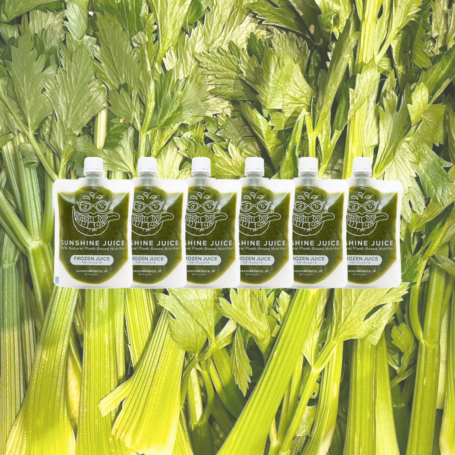 大人気で即完売となったセロリジュース！近日オンラインショップで再販売開始いたします！