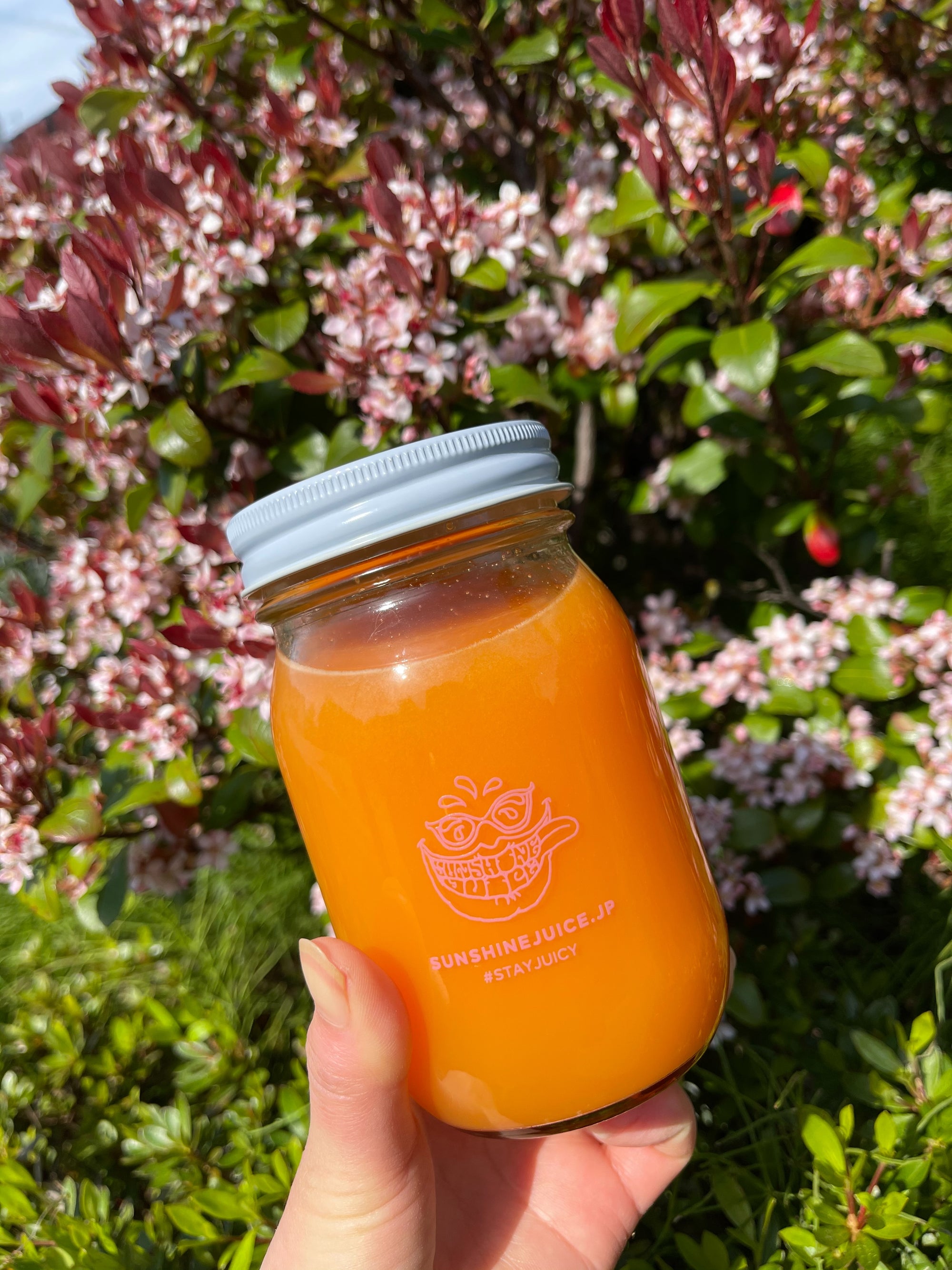 It is also effective for replacement diet! ? How to incorporate cold press juice!