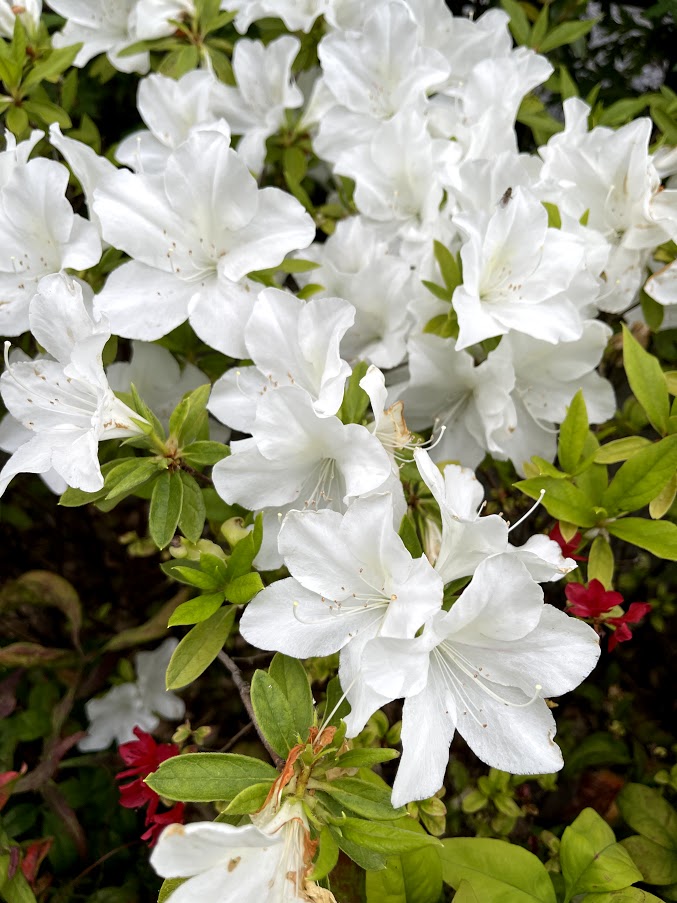 The relationship between 