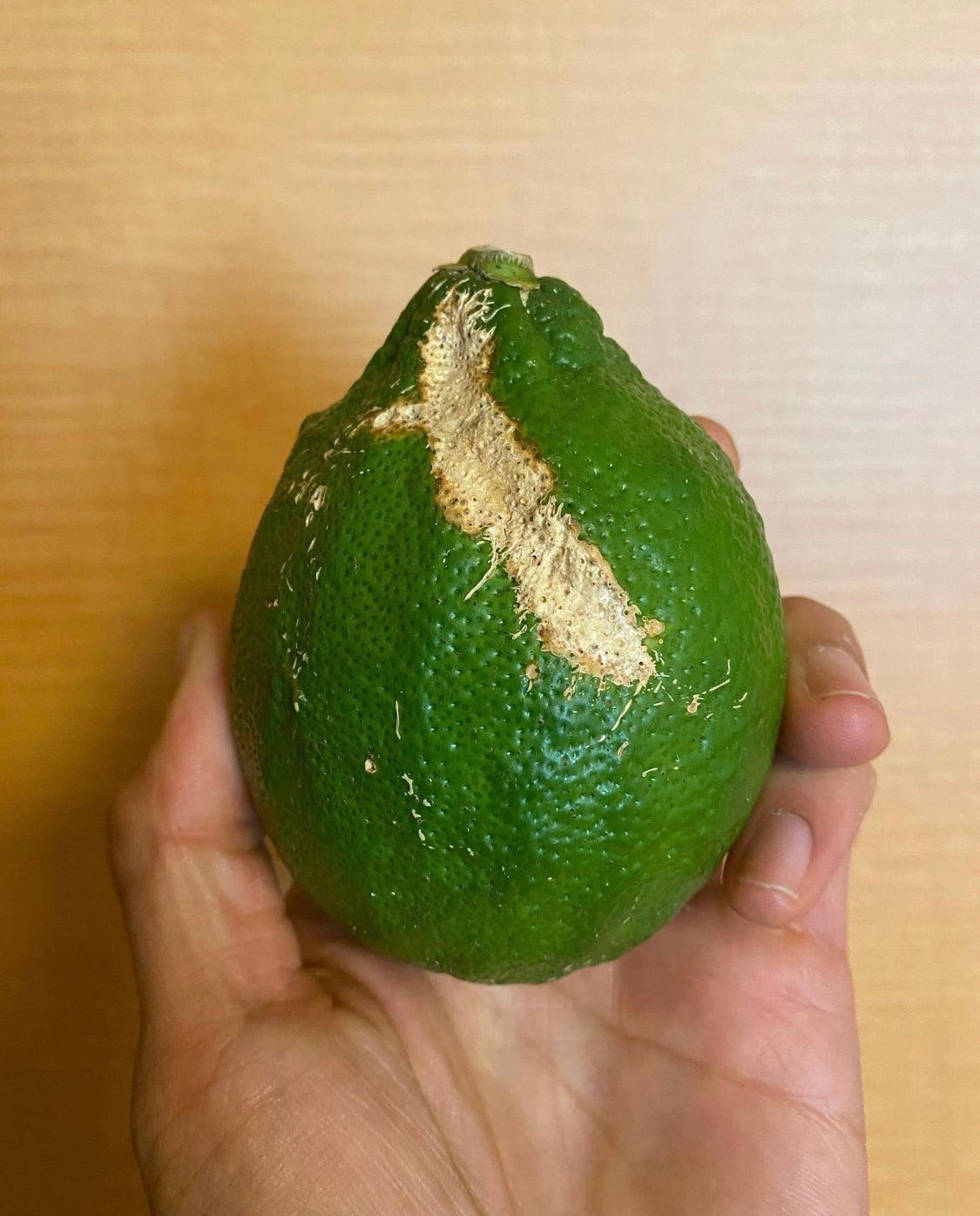 サンシャインジュースでは、見た目だけが理由で売ることができなかったり廃棄されてしまう素材も積極的に使用しています！