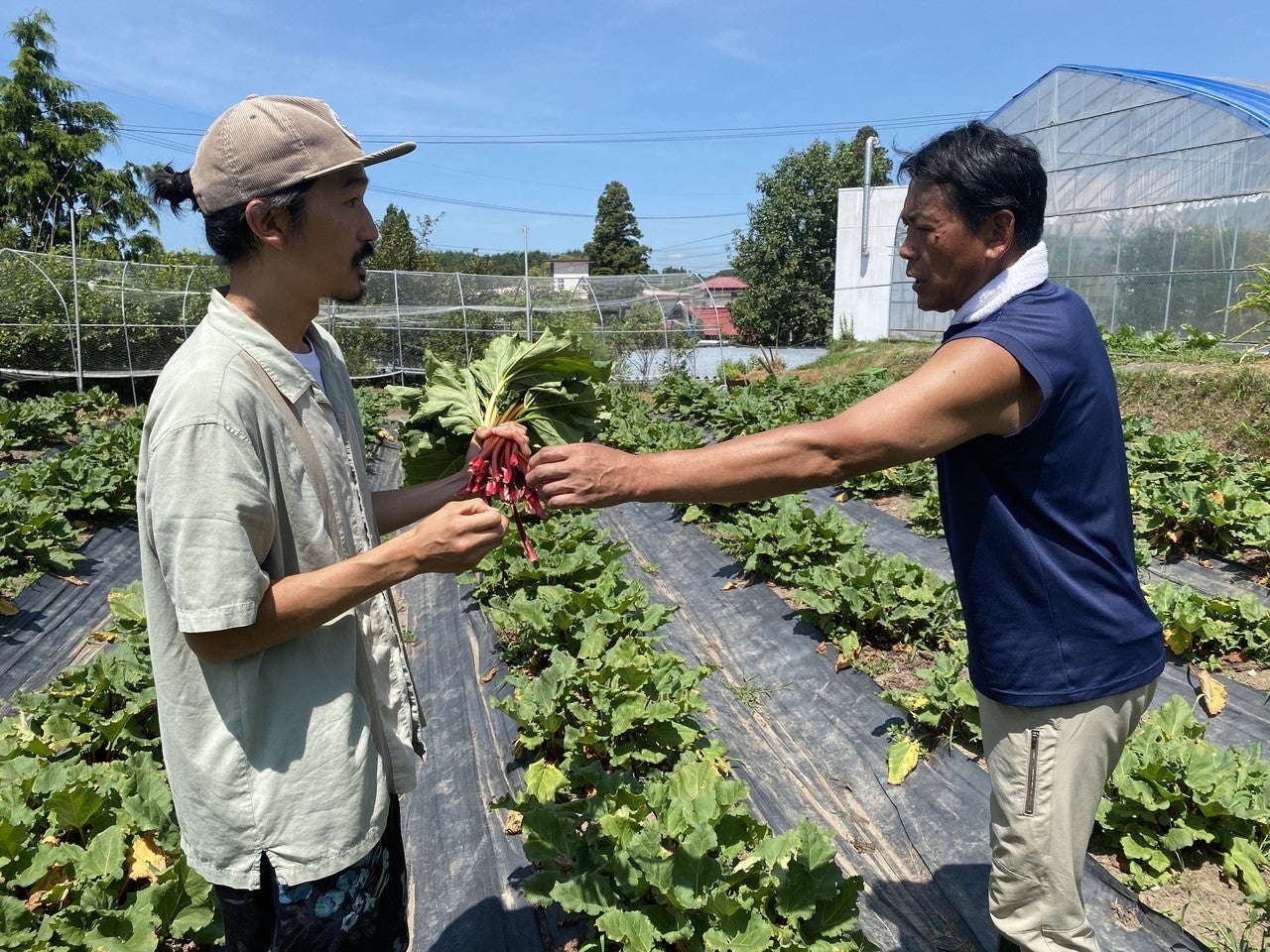 代表コウ ノリのnote.「ルバーブの農家さんを訪ねて感じた地球のピンチについて」を更新しました。