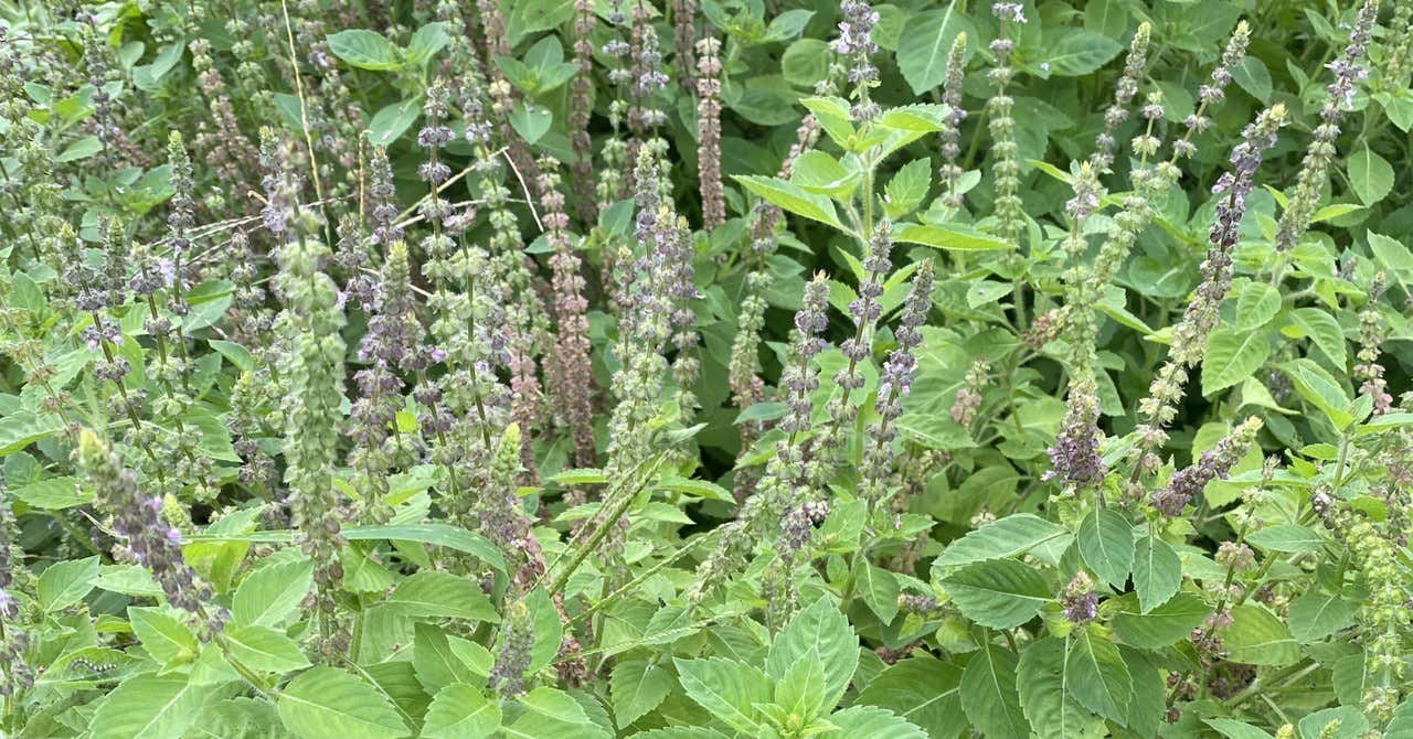 Representative KO nori's note.