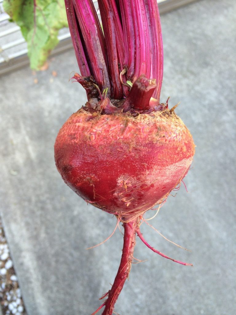 Representative Kou Nori's note. 