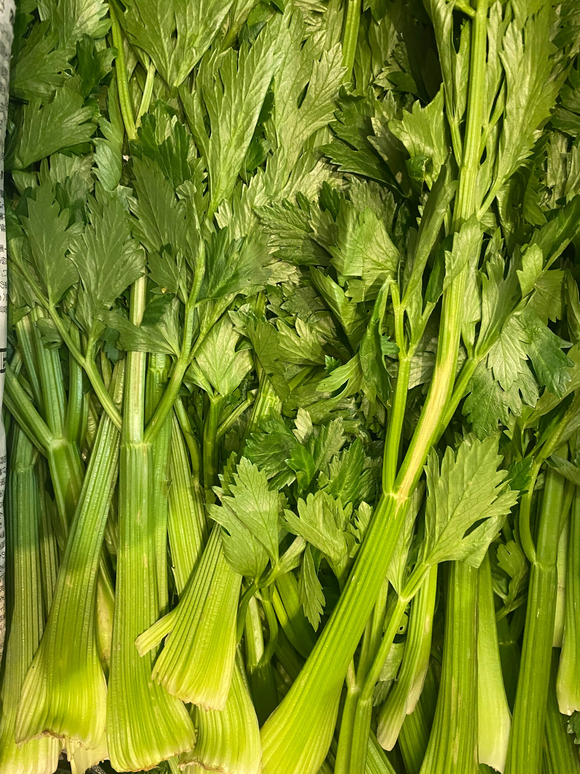 We received delicious organic celery from Kiyomura Farm in Kumamoto Prefecture!