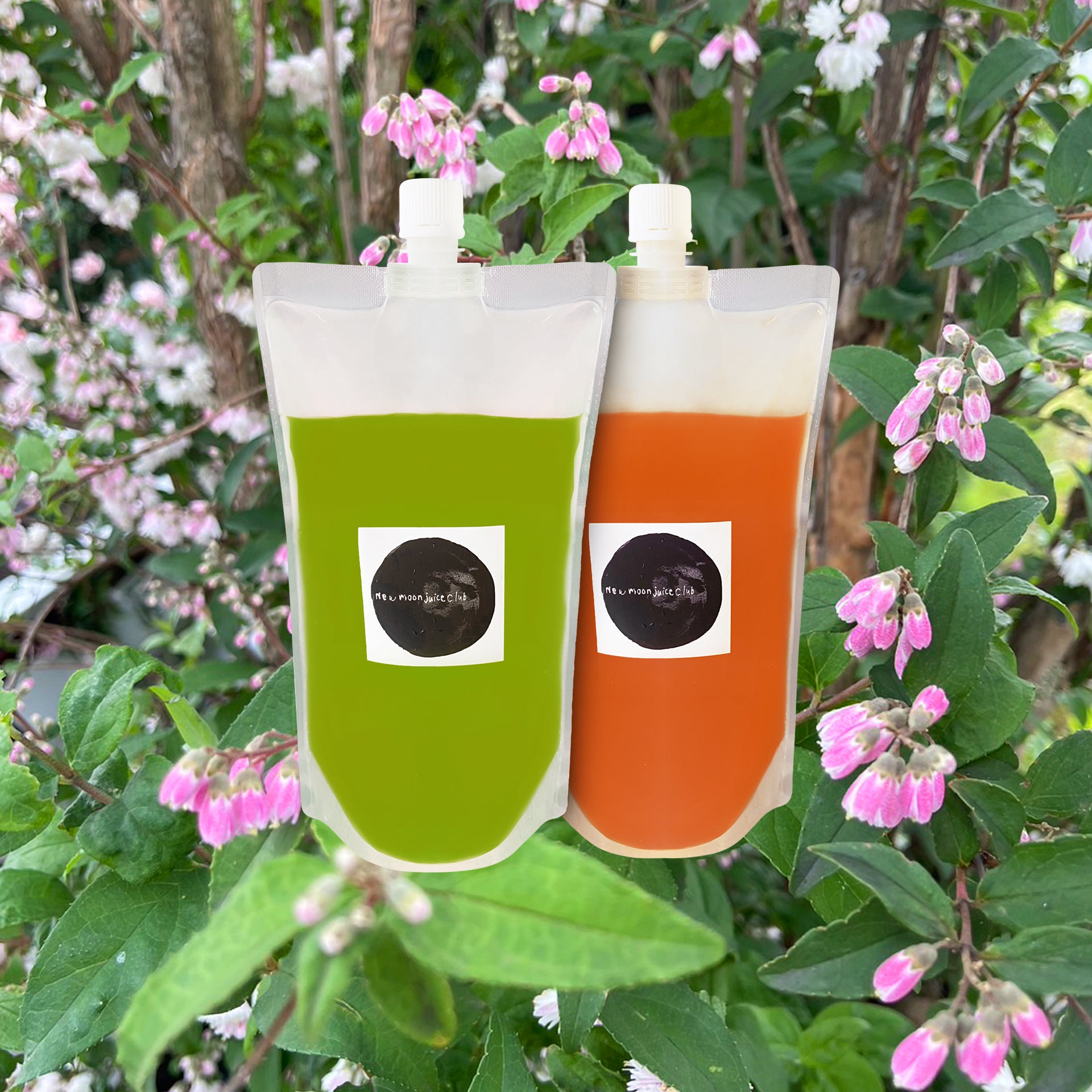 6月の新月は18日(日) オンラインショップでは、6月分の注文受付を開始しています。