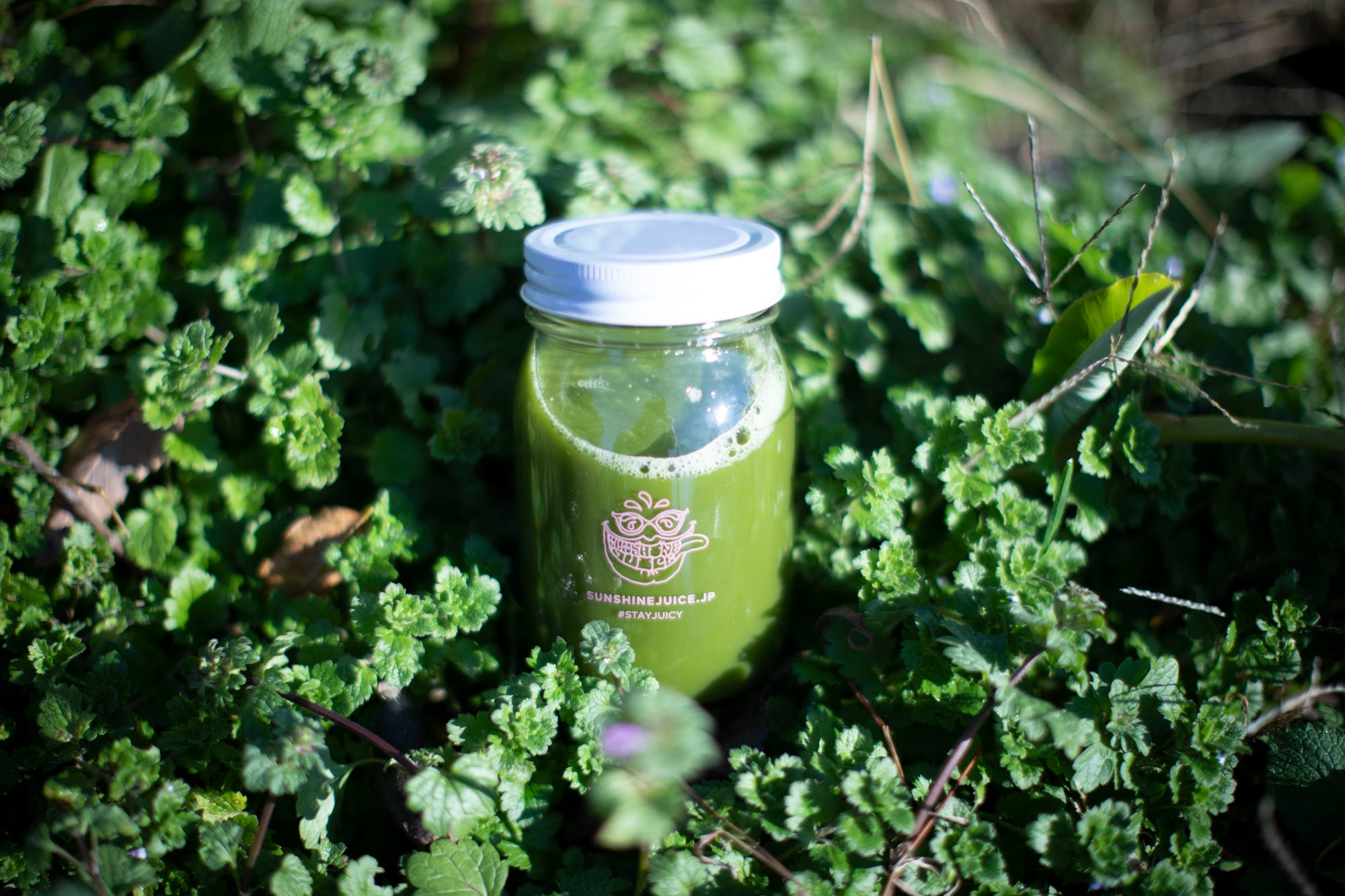 Representative stork's health cutting edge note. Updated!