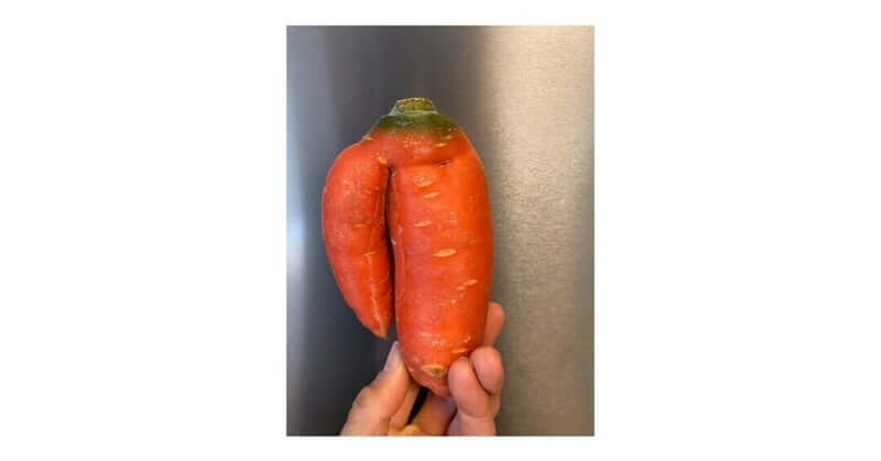 「ハネもの野菜を使う事」note. 更新しました。