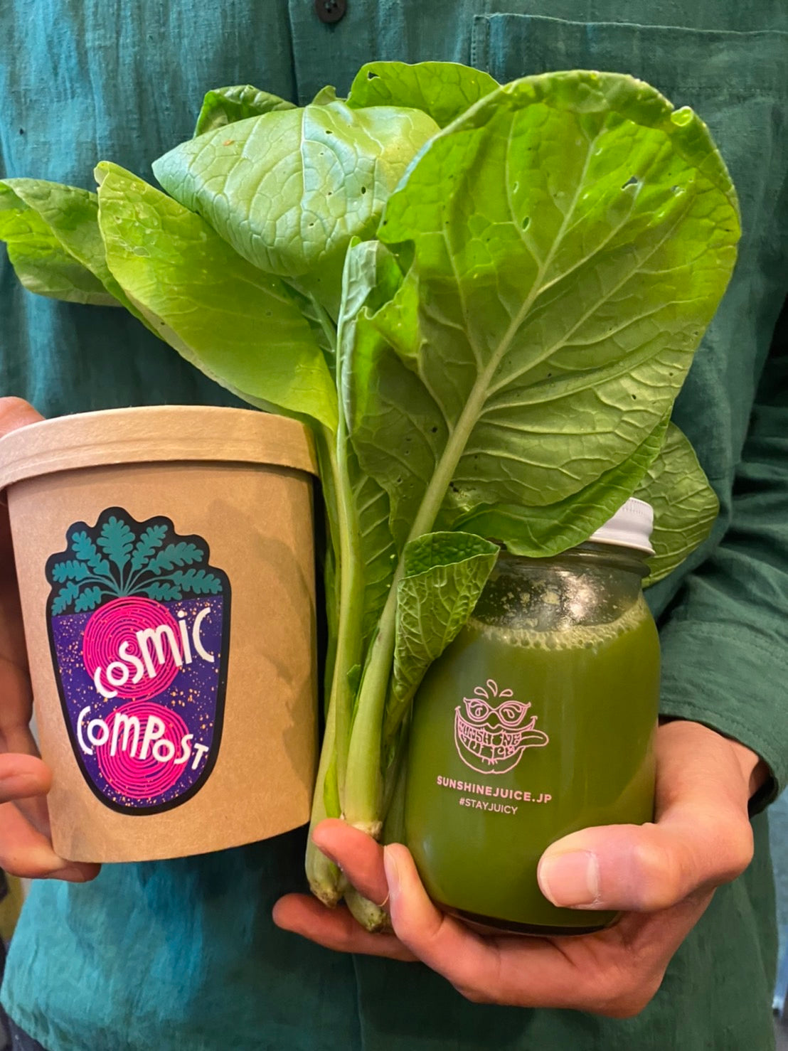 ome farm からコンポストでできた小松菜が届きました！