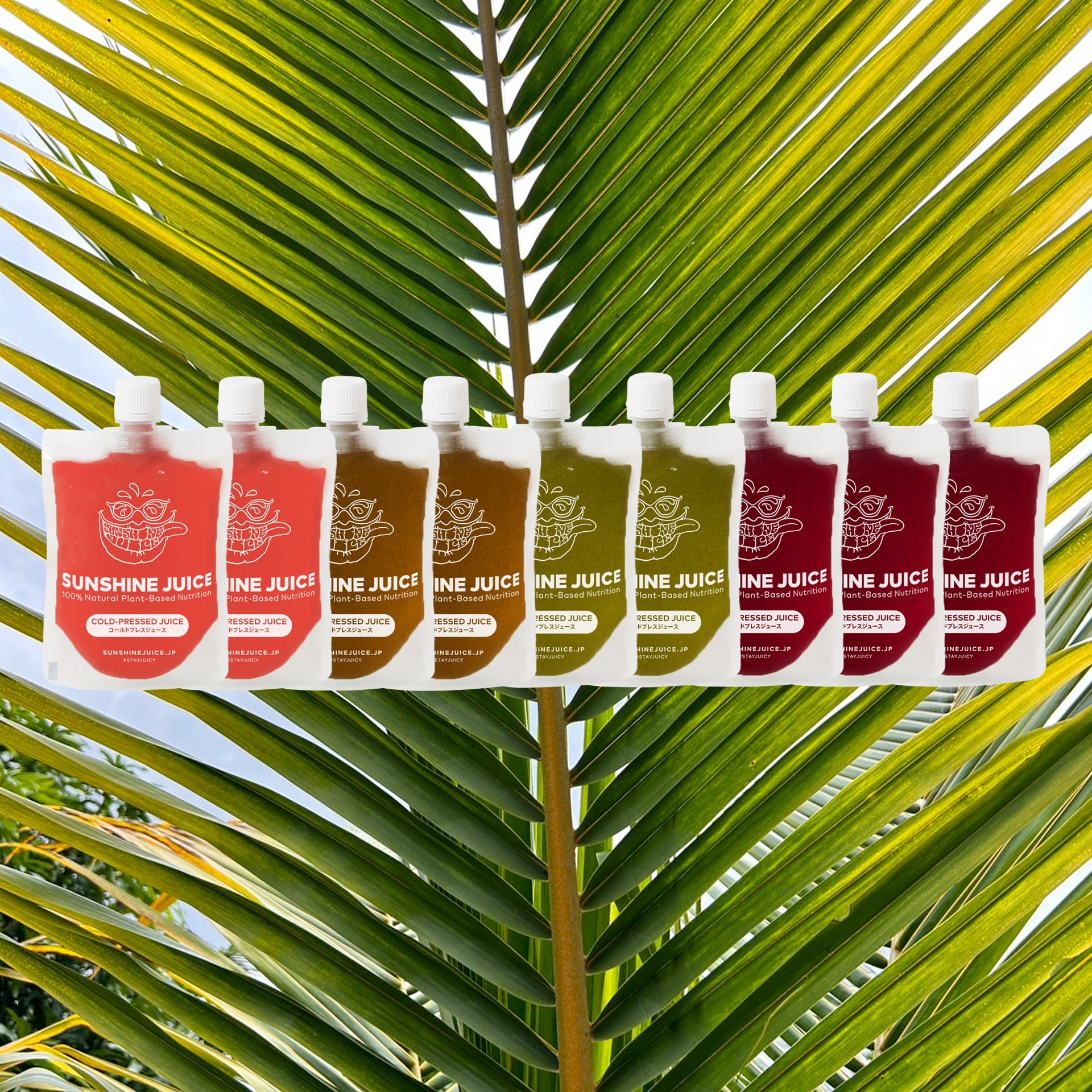 Sunshine Summer Lenses now on sale!!