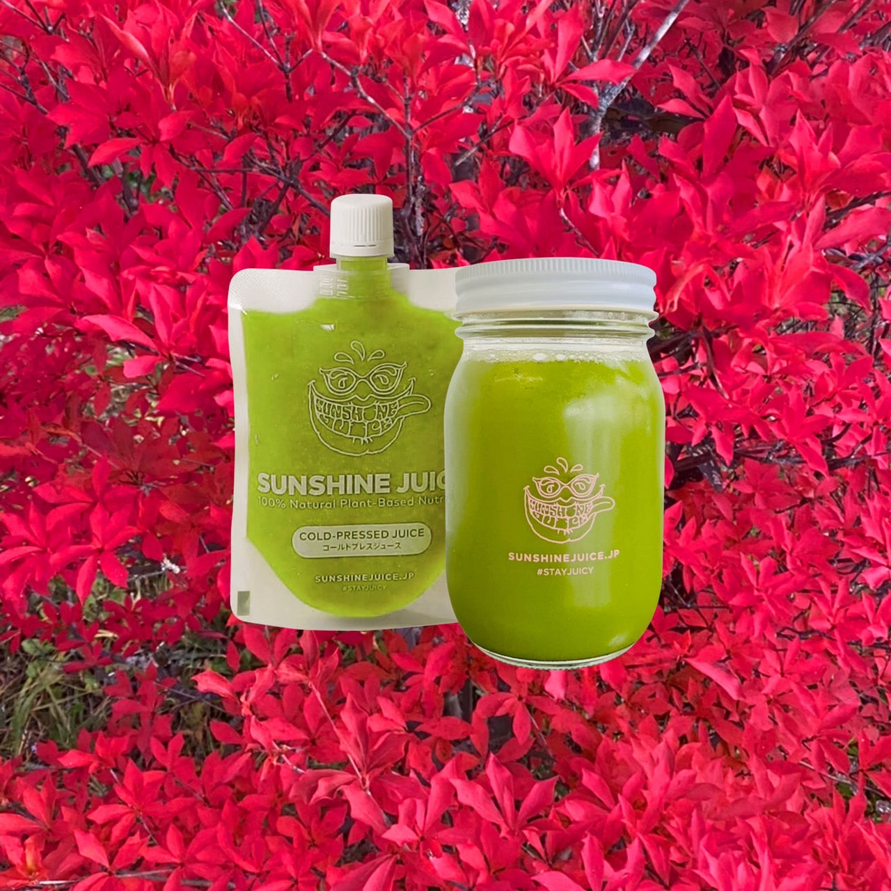 秋のスペシャルジュースできました！ 「スウィートグリーン」