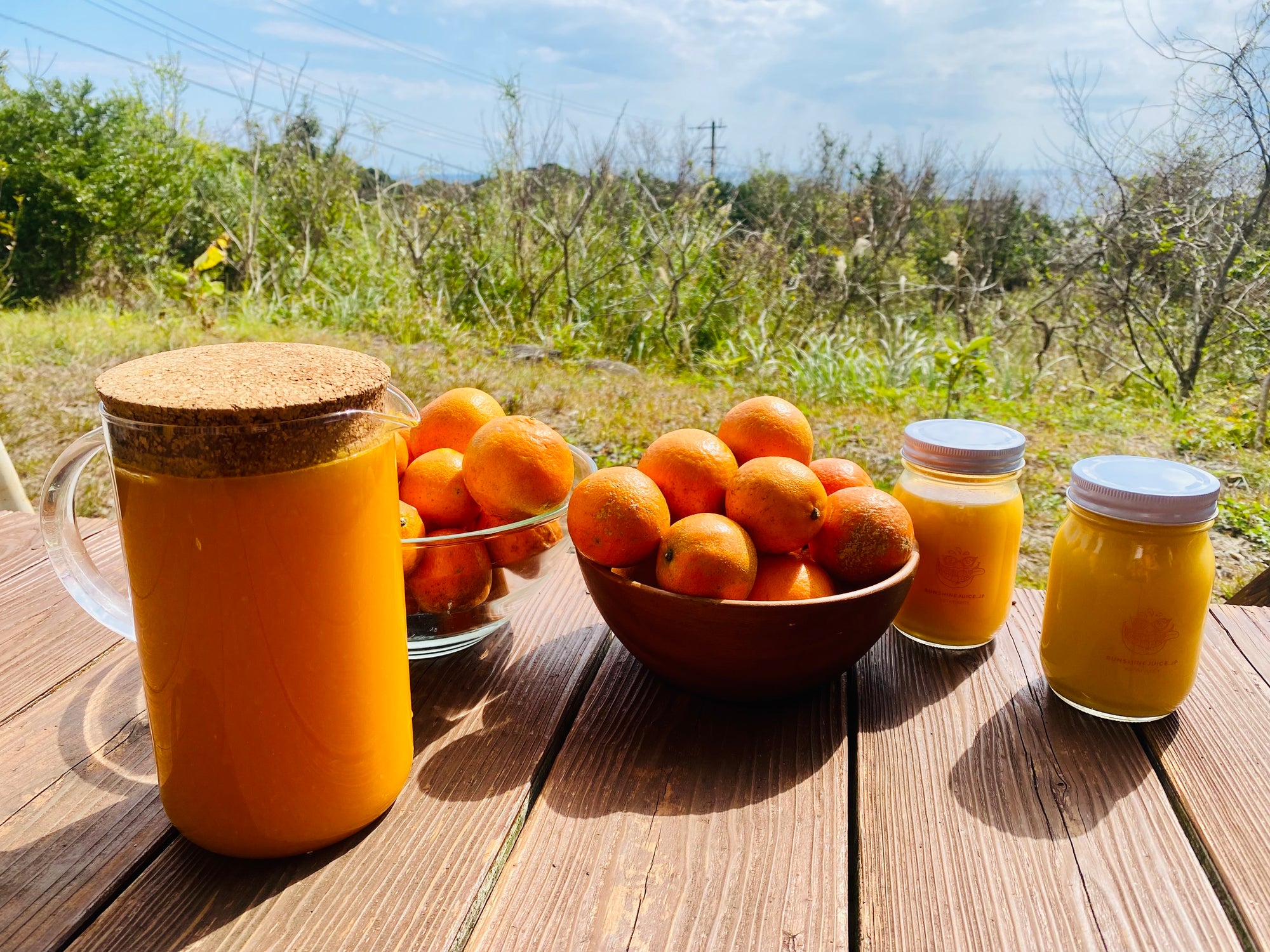 今週の季節の柑橘は屋久島から届いた「タンカン」も使います！