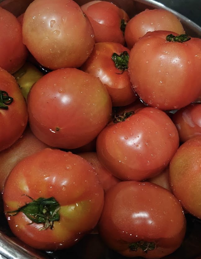 Feel the season with vegetables and fruits!