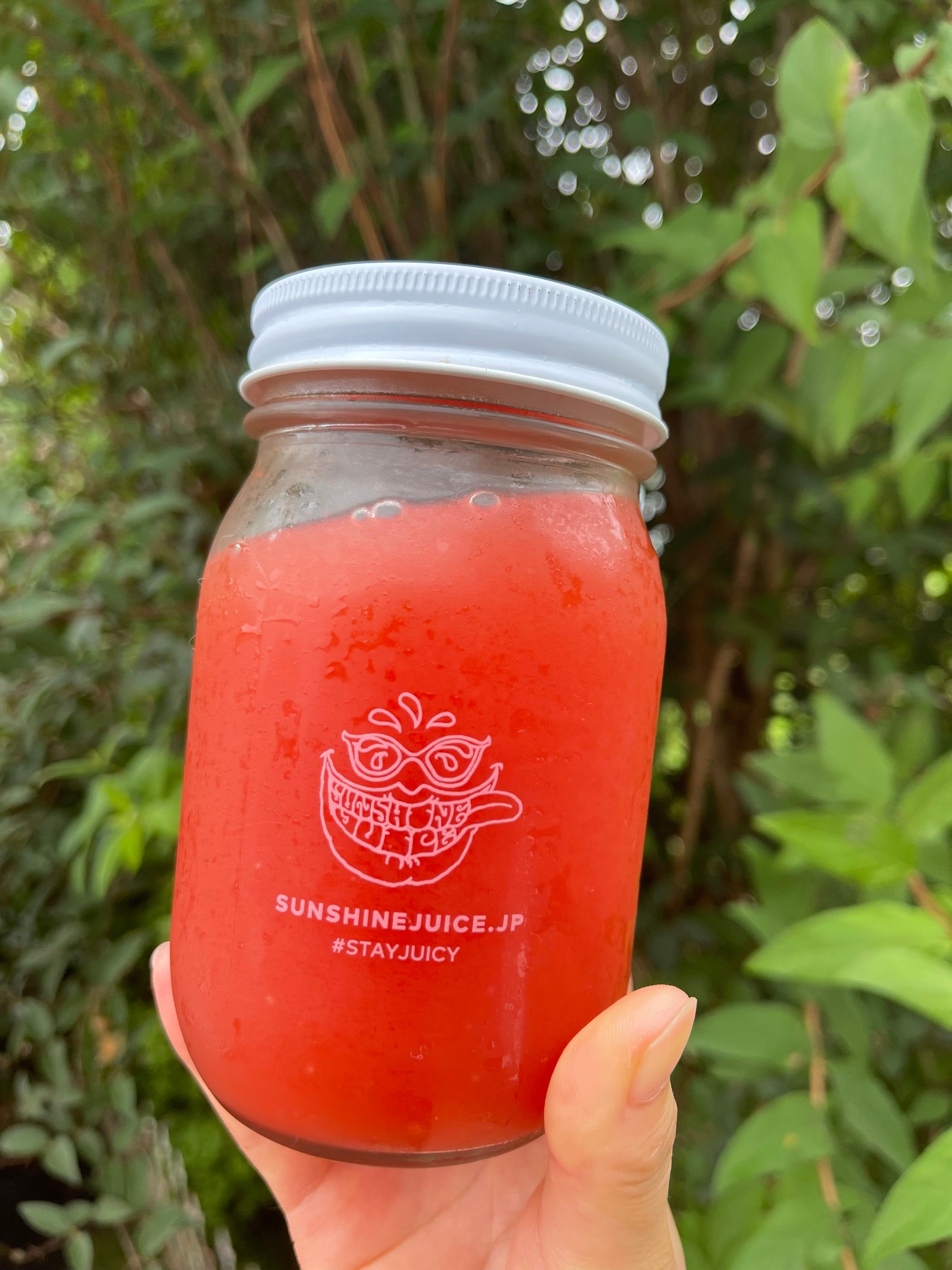 Now this year has started! ! Popular 