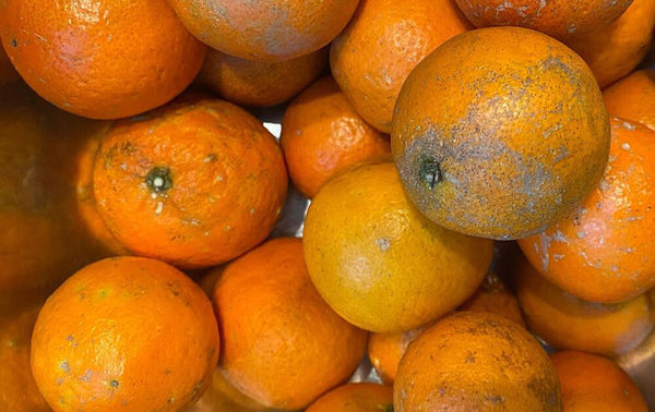 Turning distorted vegetables into powerful energy