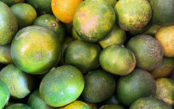 Turning distorted vegetables into powerful energy